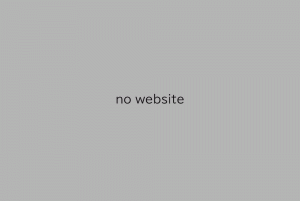 no website
